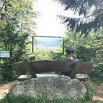 Flair Mit Schwimmbad * Bad Harzburg