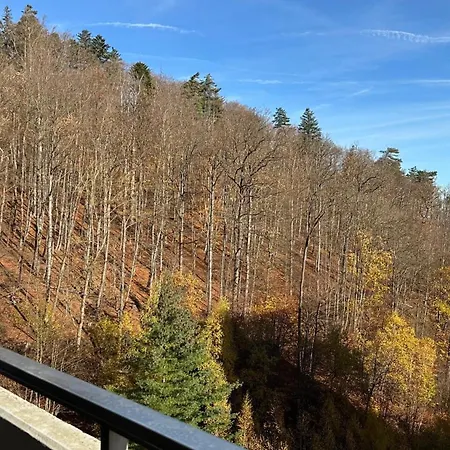 Flair Mit Schwimmbad Apartment