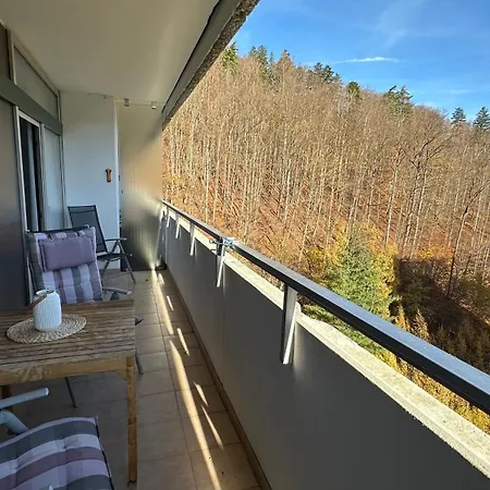 Flair Mit Schwimmbad Appartement Bad Harzburg