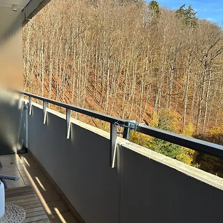 Flair Mit Schwimmbad * Bad Harzburg