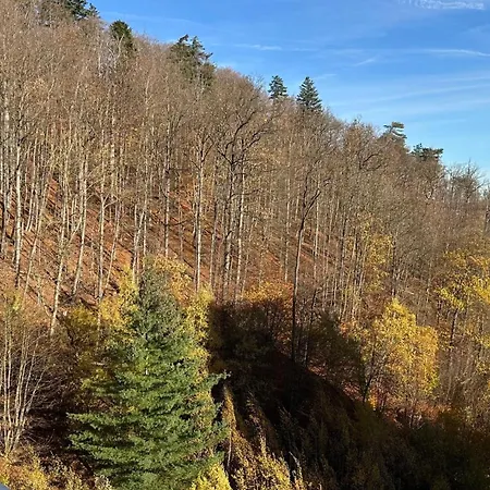 Flair Mit Schwimmbad * Bad Harzburg