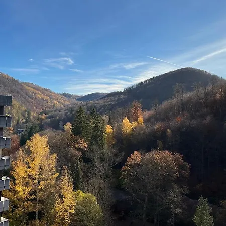 Flair Mit Schwimmbad * Bad Harzburg