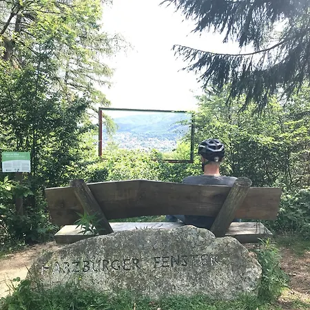 Flair Mit Schwimmbad * Bad Harzburg