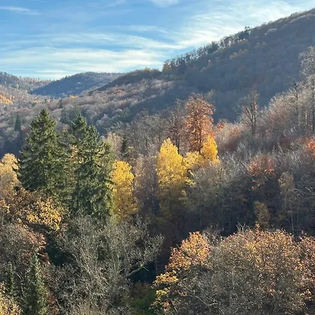 Apartment Flair Mit Schwimmbad *
