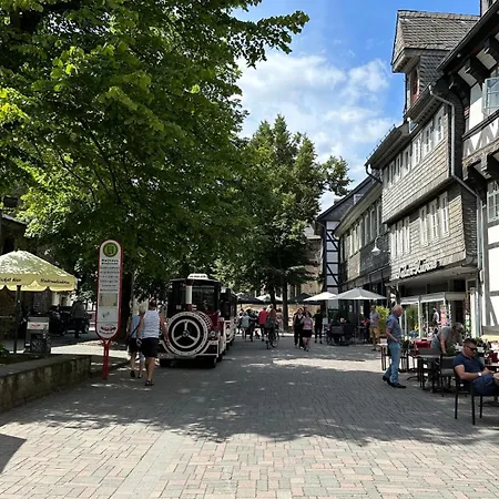 Flair Mit Schwimmbad * Bad Harzburg